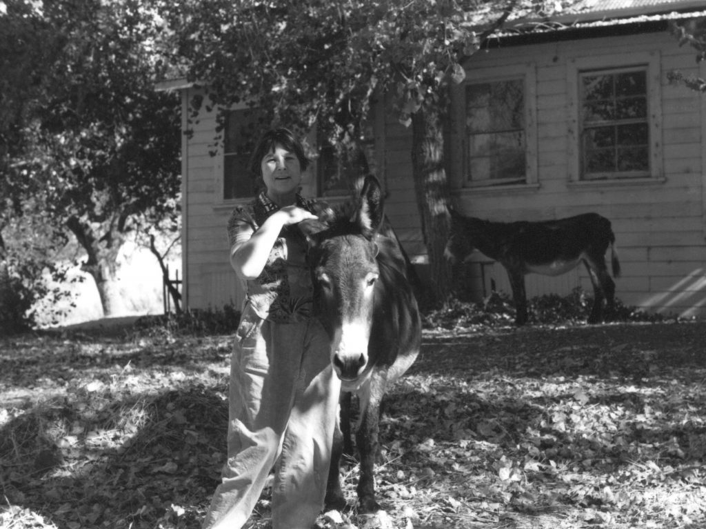 Frances loves donkeys
